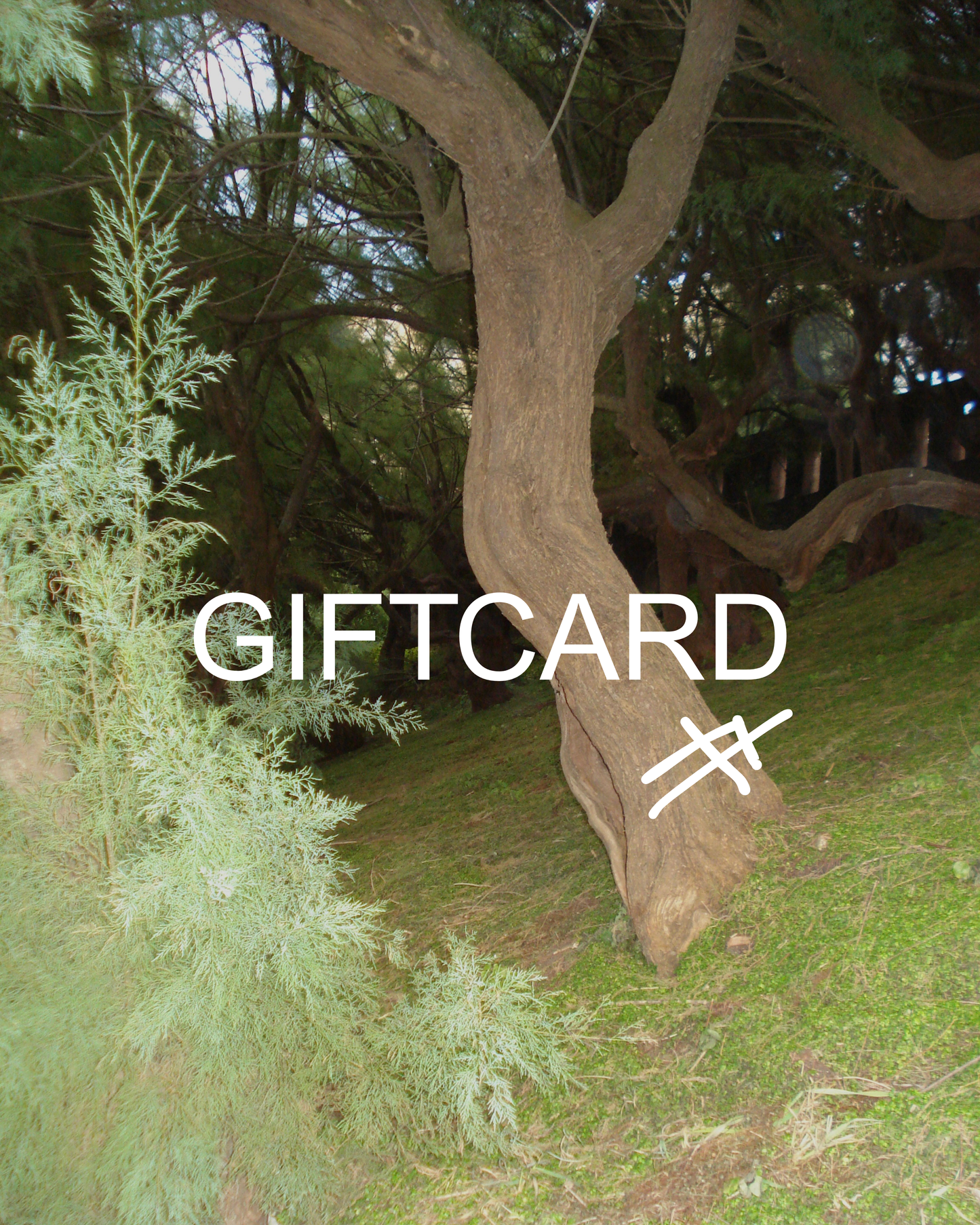 GIFTCARD